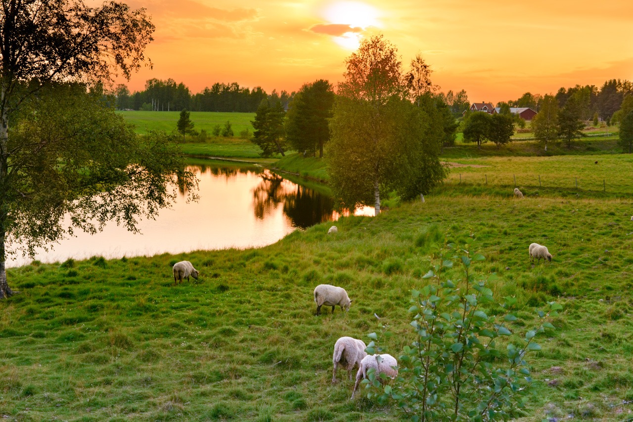 Outside of Vindeln - Sweden
