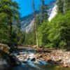 River - Yosemite - California
