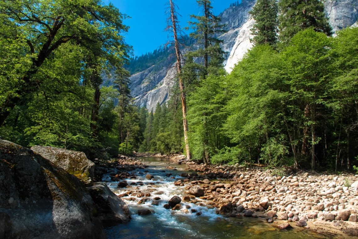 River - Yosemite - California
