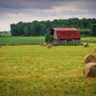 Farm-Ontario-Canada