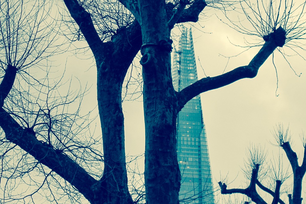 The Shard | London