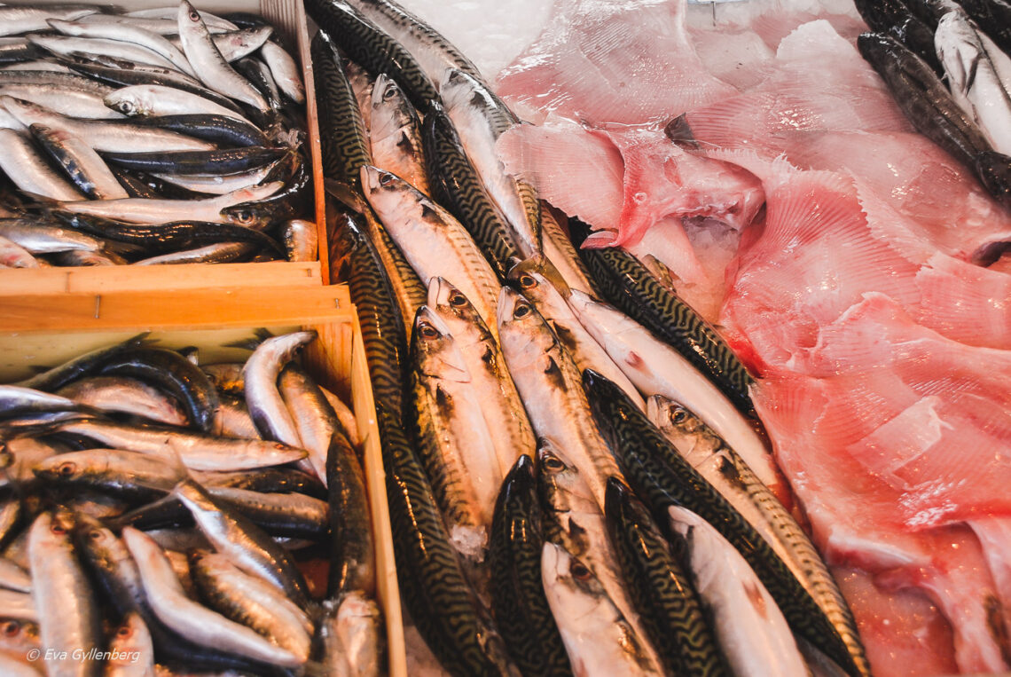 Fresh fish at the harbour market