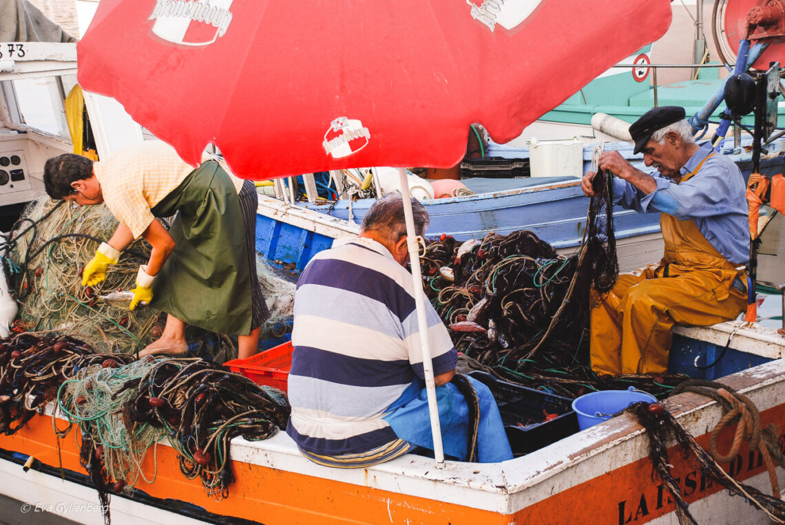 Fishermen checking the nets