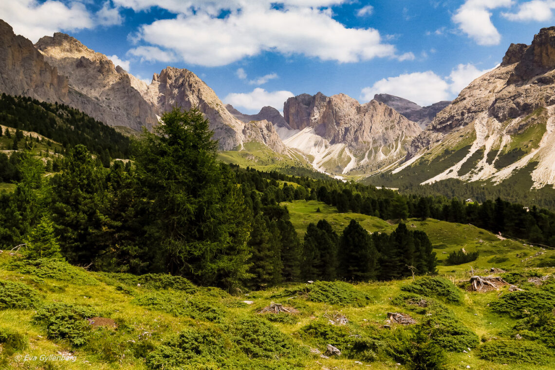 Italy-South Tyrol-Dolomites-Col-Raiser